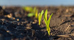生态环境的保护需要有机肥生产线的辅助