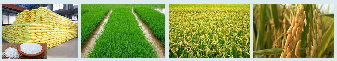 腐殖酸肥料生产工艺介绍，腐殖酸肥料营养成分